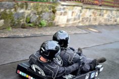 DSC_0336 DSC 0336