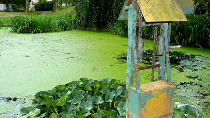Biotop im Schlossgarten Burgk Schlosspark Burgk