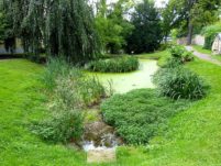 Grüner Teich Freital P1240052