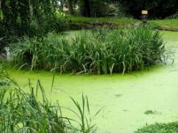 Wasseranlage Freital Burgk P1240054