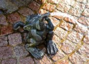 Bild 7: Brunnen in Freital freital brunnen 6