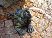 Bild 7: Brunnen in Freital freital brunnen 6