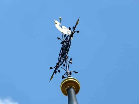 kirche freital bild 29