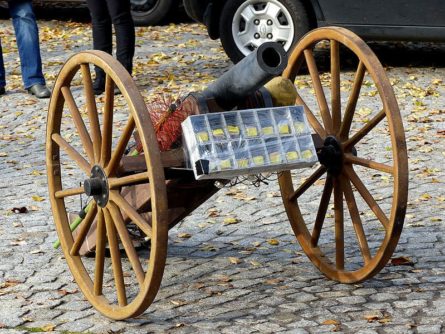 freital karneval 10