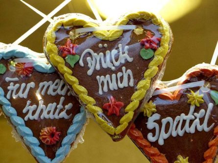 schlossweihnacht-burgk-freital-10 schlossweihnacht burgk freital 10