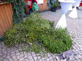 schlossweihnacht-burgk-freital-42 schlossweihnacht burgk freital 42