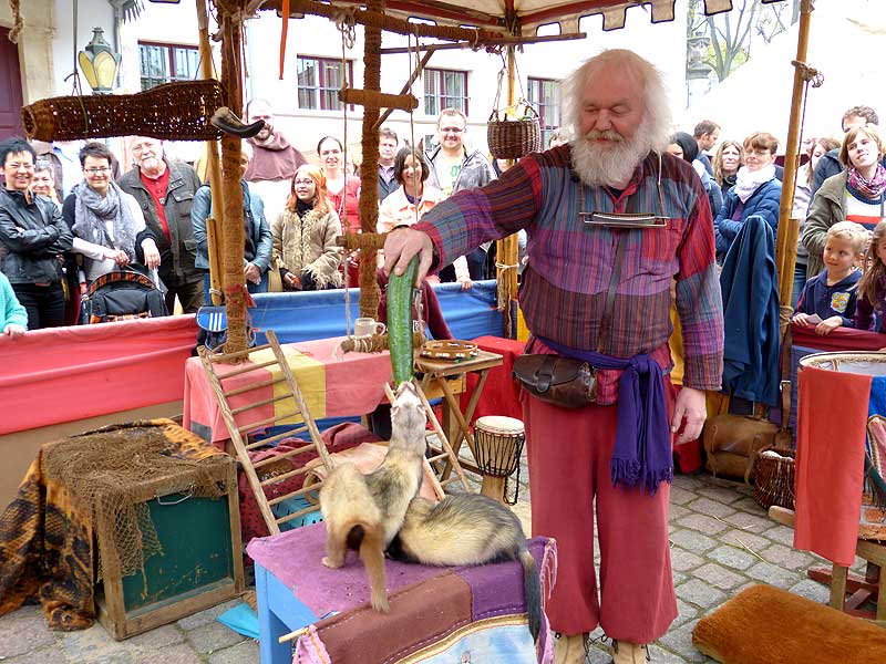 Frettchen Zirkus Mittelaltermarkt Freital Schloss Burgk Bild 4