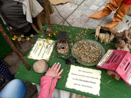 Mittelalterliches Spectaculum Schloss Burgk Freital Bild 4