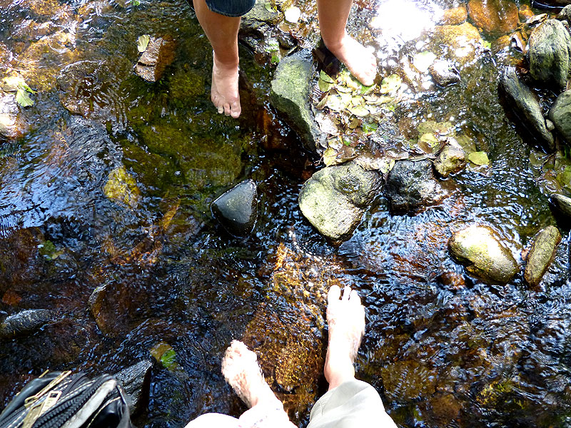 Bilder aus dem Tharandter Wald – Bild 4