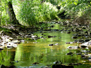 Ausflugsziel Tharandter Wald