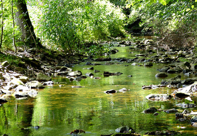 Ausflugsziel Tharandter Wald