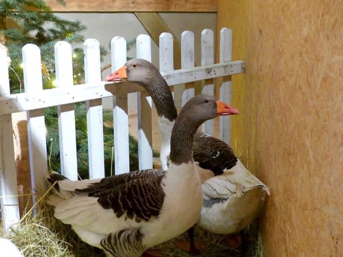 weihnachtsmarkt scheune wurgwitz freital P1190155