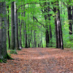 Wanderung auf dem Windberg