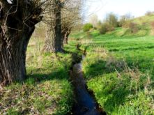 Fluß im Naturschutzgebiet naturdenkmal freital bild 2