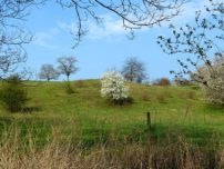 naturdenkmal freital bild 4