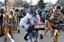 fasching umzug freital P1210238