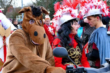fasching umzug freital P1210262