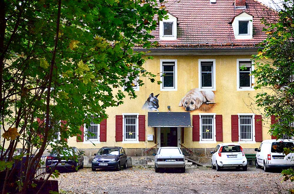 Tierheim Freital Haupteingang