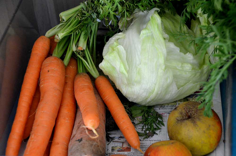 Futter für das Tierheim Freital