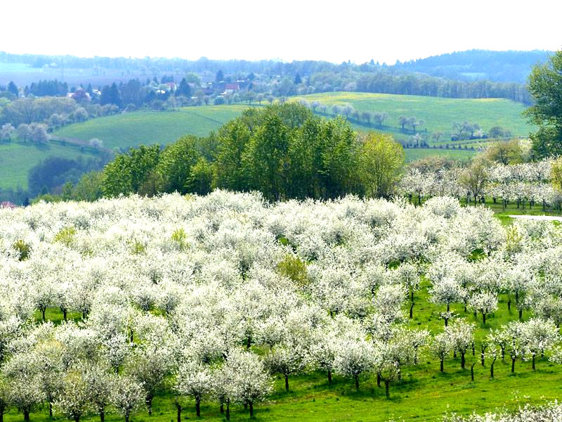 Döhlener Becken Freital