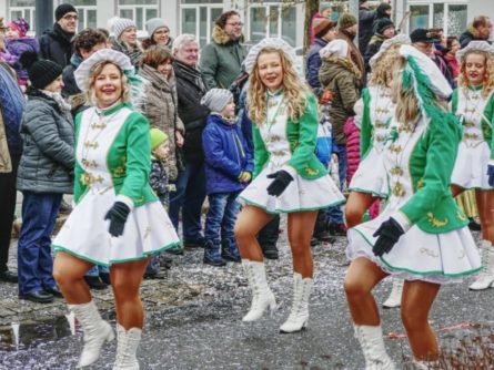 karnevalsumzug freital 2018 039