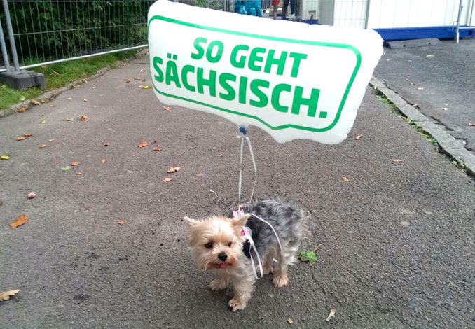 Tag der Sachsen "so geht sÀchsisch" Tag der Sachsen "so geht sÀchsisch"