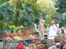 Freital Pesterwitz Umzug 2018 Weinfest 002