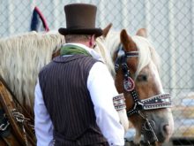 Freital Pesterwitz Umzug 2018 Weinfest 005