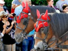 Freital Pesterwitz Umzug 2018 Weinfest 020