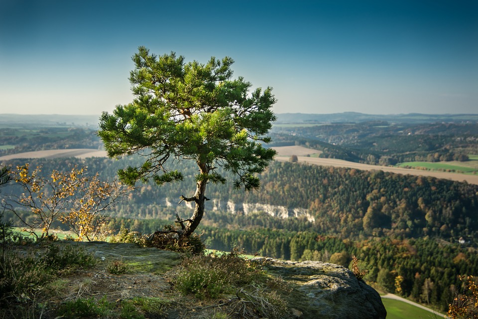 Aussichtspunkt Sächsischen Schweiz