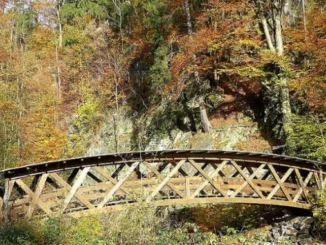 Brücke im Rabenauer Grund