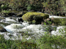 Die Rote Weisseritz