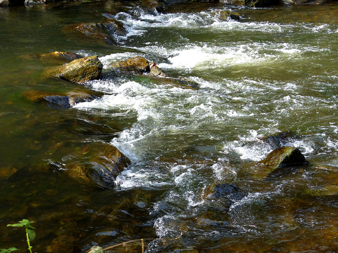 Flussbett der Roten Weißeritz