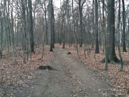 Freital-Kleinnauendorf-Bild-15 Freital Kleinnauendorf Bild 15