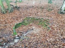 Freital Kleinnauendorf Bild 22
