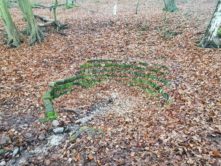 Freital Kleinnauendorf Bild 22