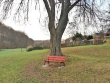 Freital-Kleinnauendorf-Bild-3 Freital Kleinnauendorf Bild 3