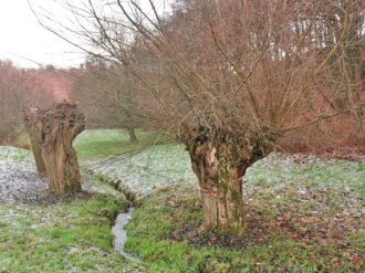 Freital-Kleinnauendorf-Bild-8 Freital Kleinnauendorf Bild 8