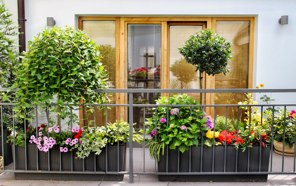 Tipps, wie man seinen Balkon gestalten kann Balkon Pflanzen