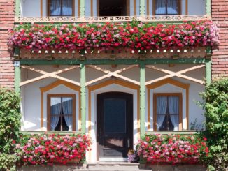 Balkon Gestaltung mit Blumen