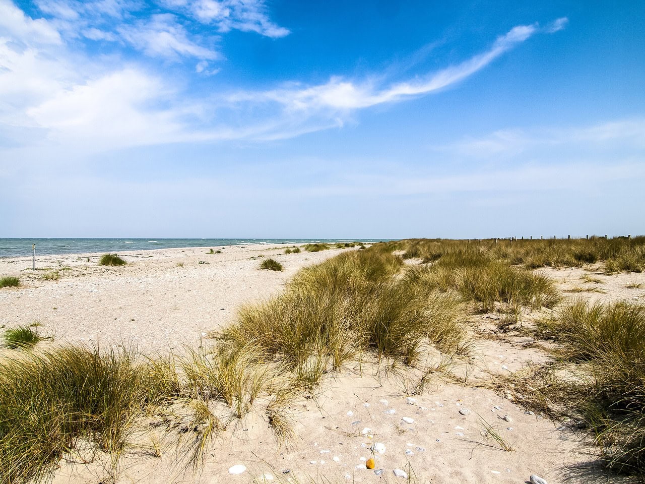 Morgenkaffee am Meer: Ein besonderes Erwachen Düne und Strand an der Ostsee
