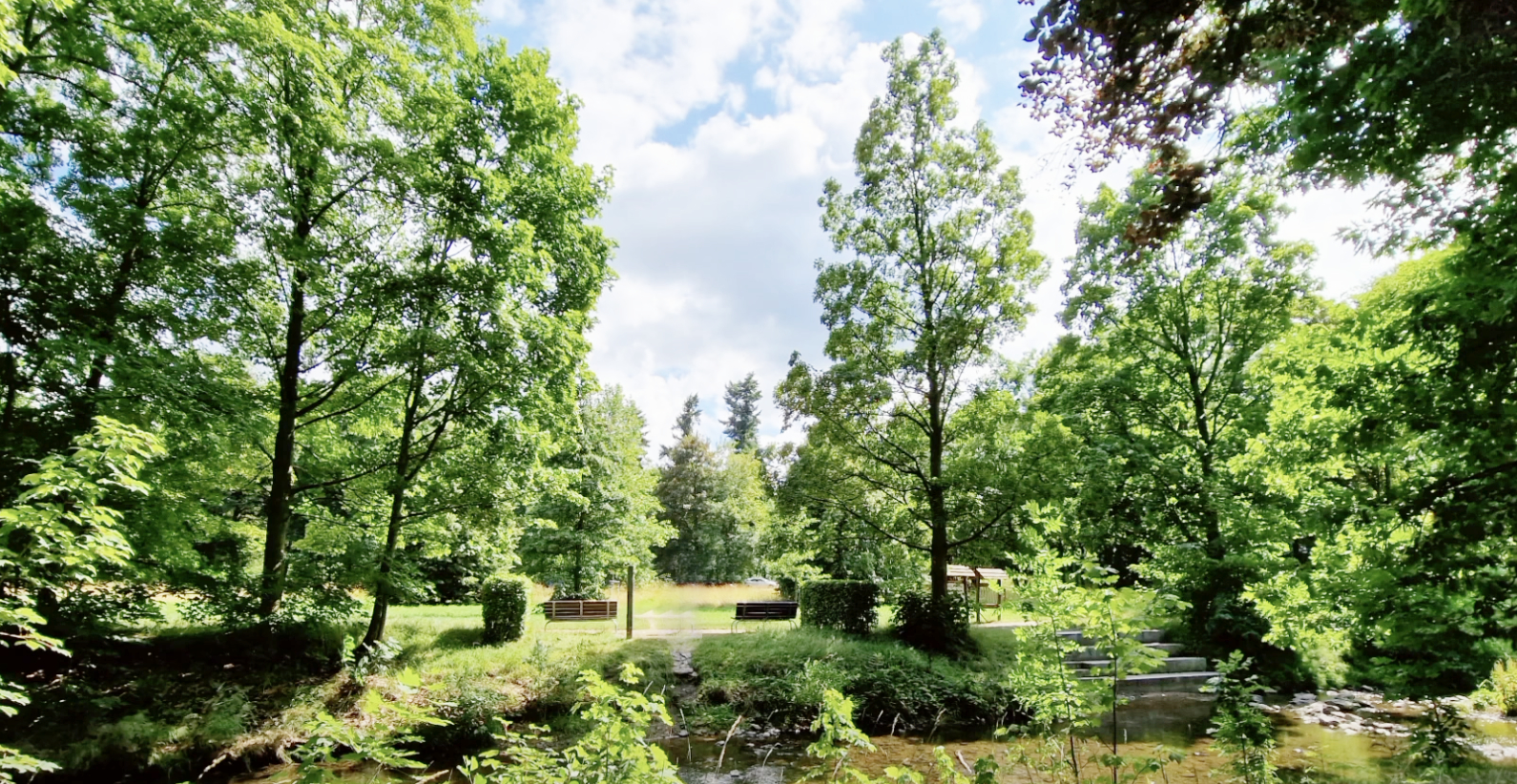 Freitals grüne Oasen: Vier Parks, vier Charaktere Heilsberger Park (Hainsberg)