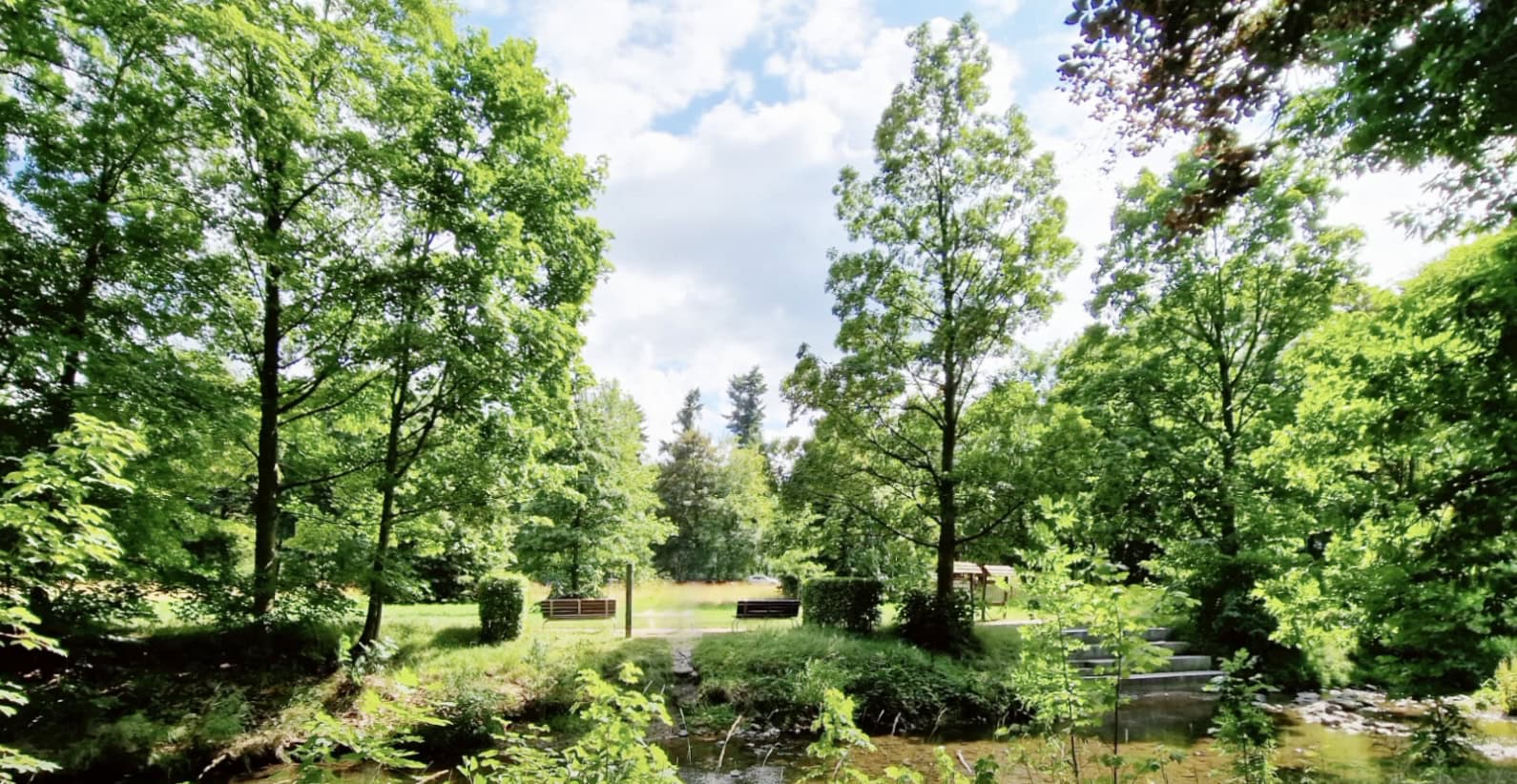 Freitals grüne Oasen: Vier Parks, vier Charaktere Heilsberger Park (Hainsberg)